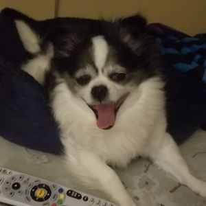 Meet your Posher, Vicki